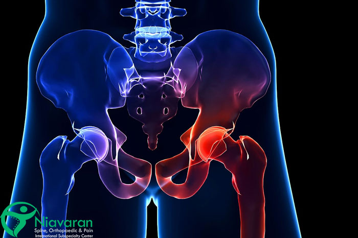 آناتومی لگن انسان