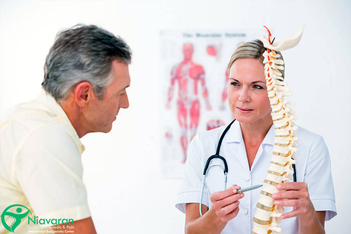 مهره ها در ستون فقرات