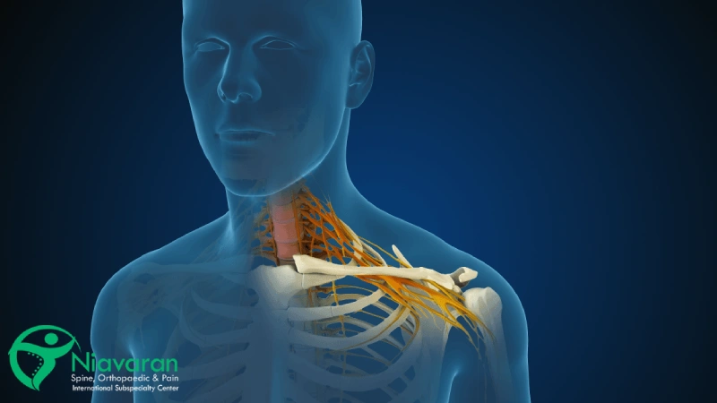 ناراحتی در ناحیه گردن و کتف