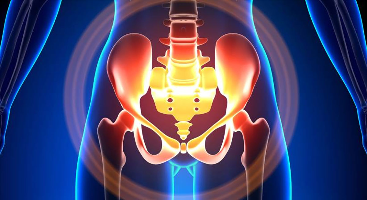 آناتومی لگن