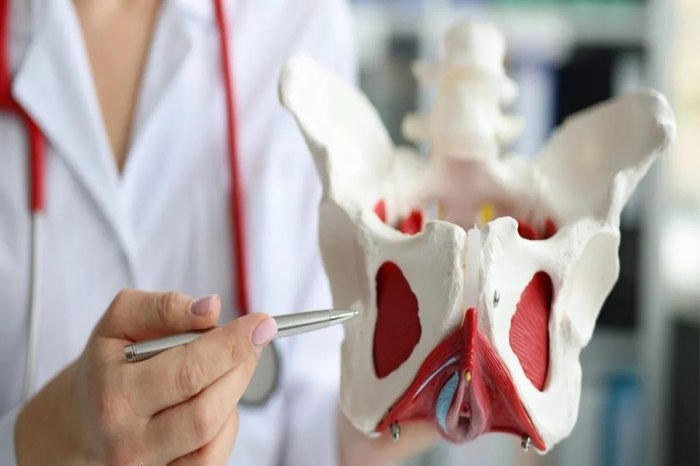 افتادگی لگن چیست